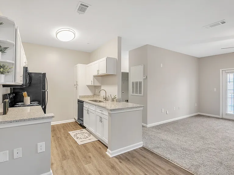 Newly Renovated Kitchen