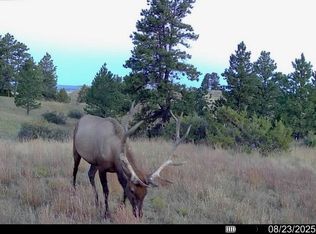 2703 S Pompeys Rd, Pompeys Pillar, MT 59064