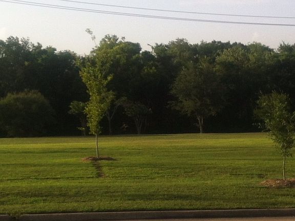 View of Terry Hershey Park
