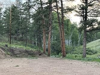 5th image of 191 Forest Glen Trl
