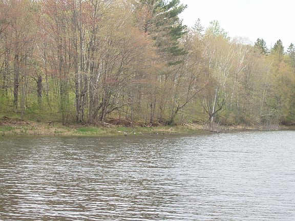 4th image of N16473 Patterson Lake Rd