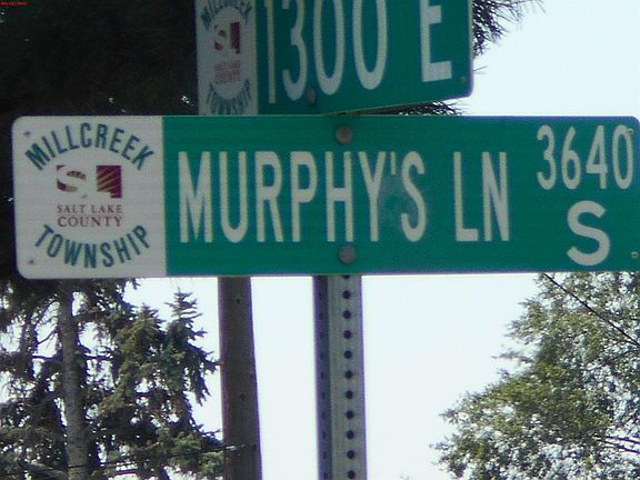 5th image of 1311 E Murphys Ln
