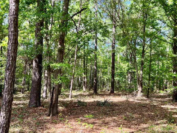 0 Reedy Springs Church Rd, Rentz, GA 31075