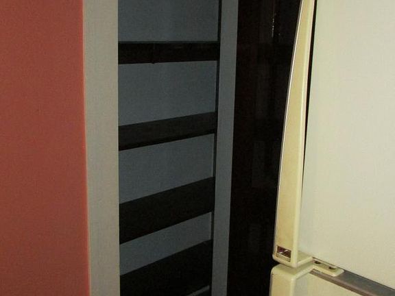Pantry closet next to refrigerator