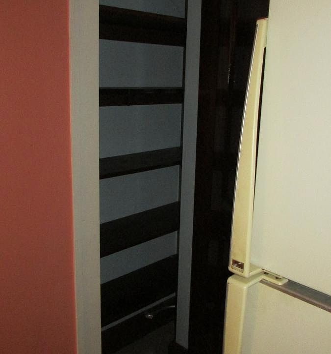 Pantry closet next to refrigerator