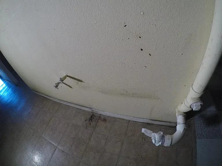 4700 N Mesa St #D2 — Photo 11