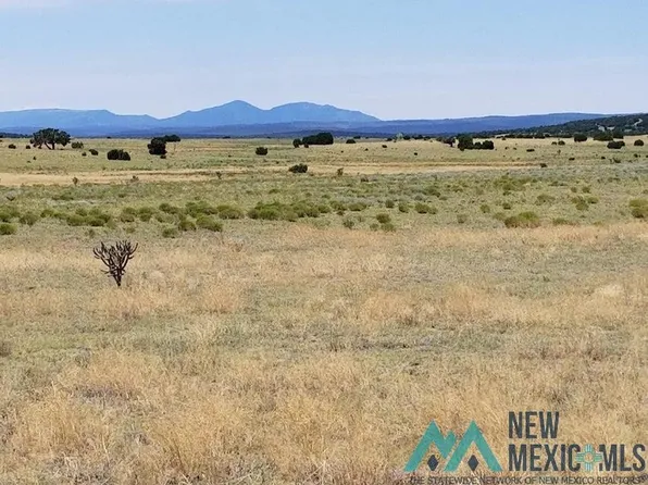 487 Lexco Rd, Moriarty, NM 87035