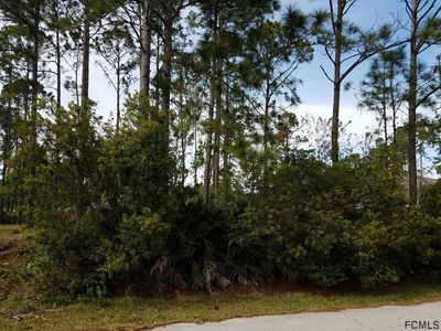 21 Rydell Ln, Palm Coast, FL, 32164