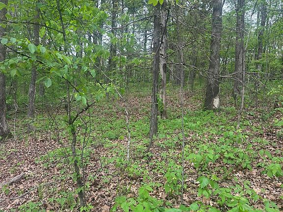 5th image of 8768/8750 Bobwhite Dr