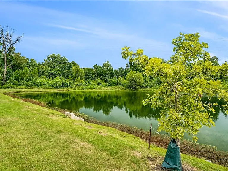 4786 Barrett Oaks Dr — Photo 6