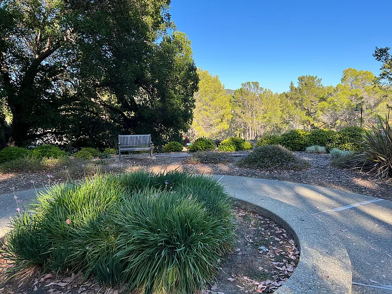 Park-like grounds