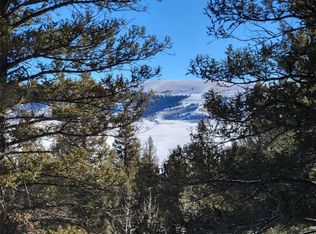 Tbd Redhill Rd, Fairplay, CO 80440