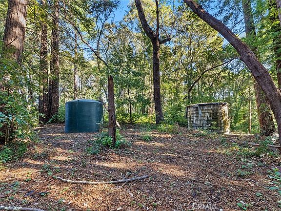 4th image of 4419 Trout Gulch Rd