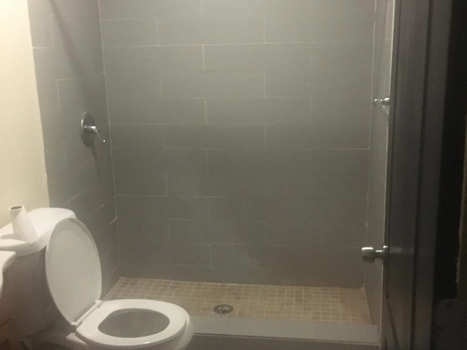 1 bed, 700 sqft, $950 — Photo 2