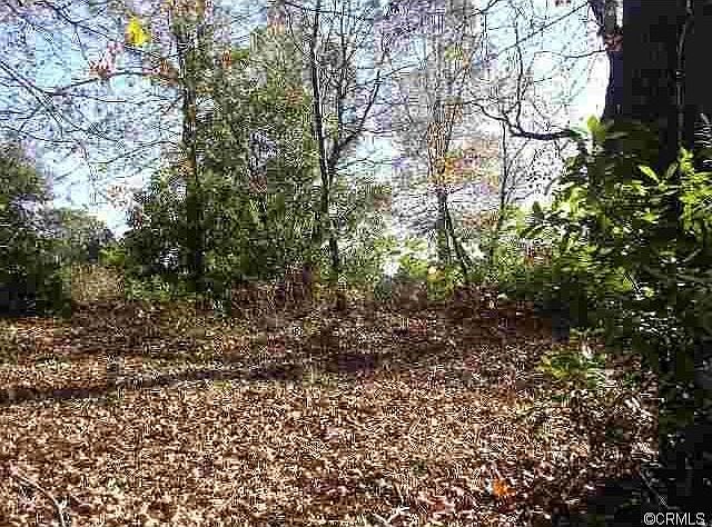 2nd image of Apple Ln