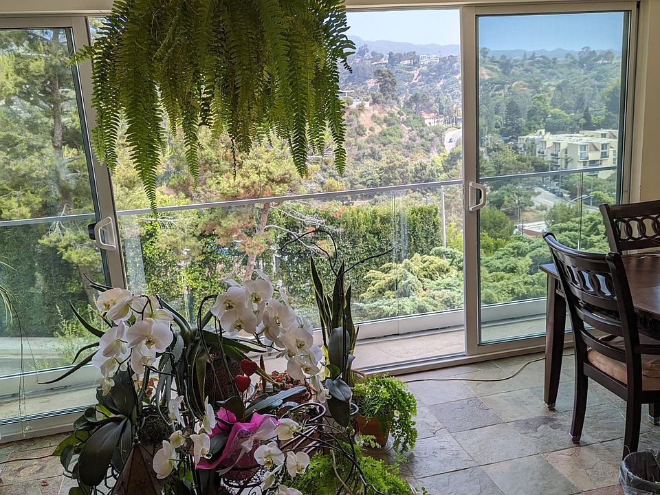 Living room view