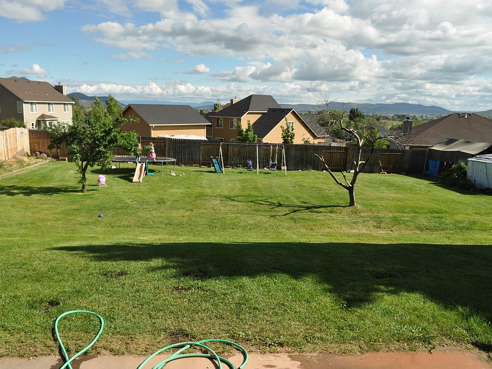 back yard and view
