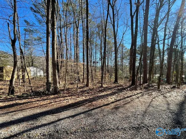 3 Kristi Ln, Grant, AL 35747