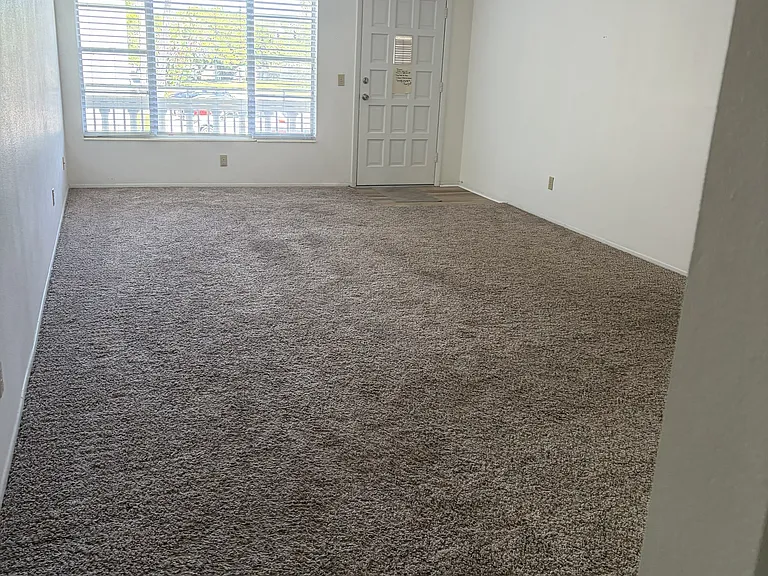 2331 Finlandia Ln #43 — Photo 10