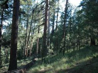 145 Forest Ln #145A-40323002, Happy Jack, AZ 86024