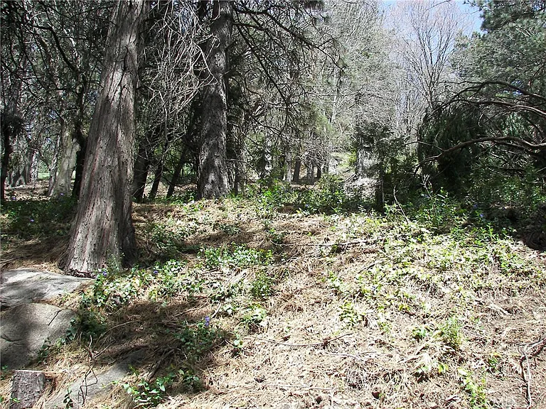 21636 Sawpit Canyon Rd — Photo 65