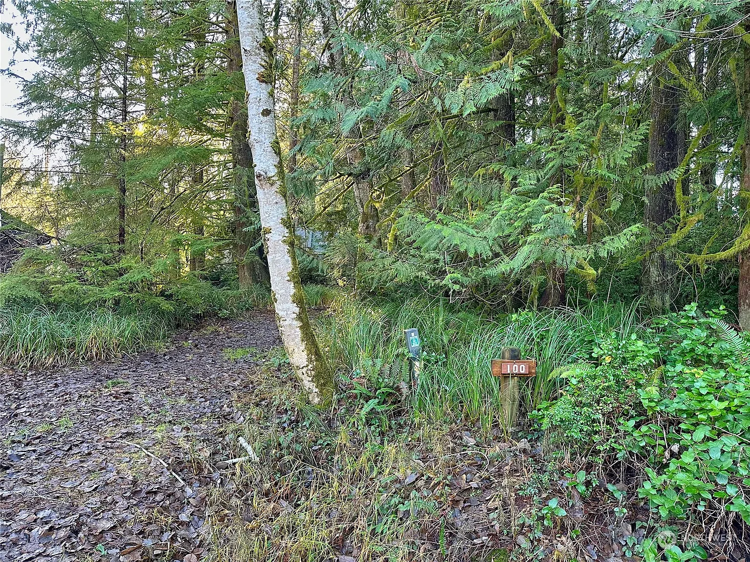 100 E Liberty Road photo 1