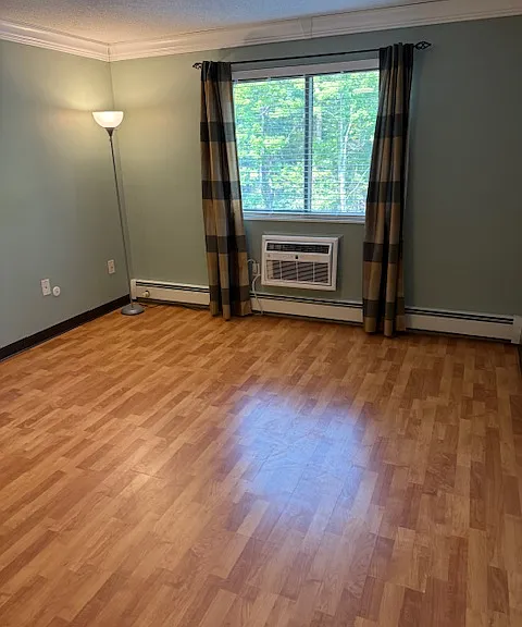 Large bedroom with ceiling fan and A/C unit