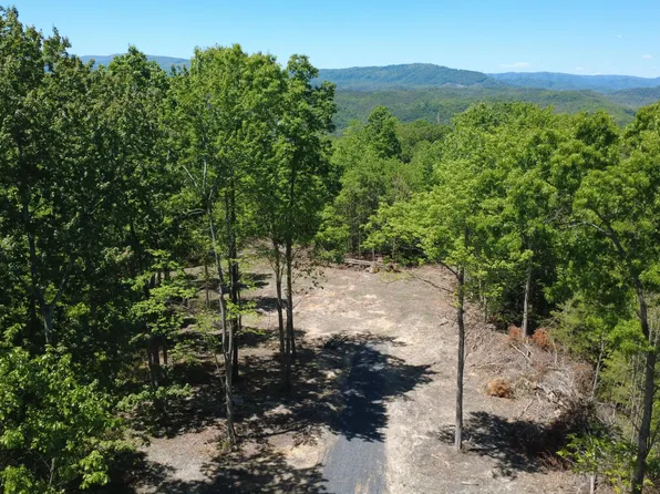 0 Dry Run Rd #21-22-23, Covington, VA 24426