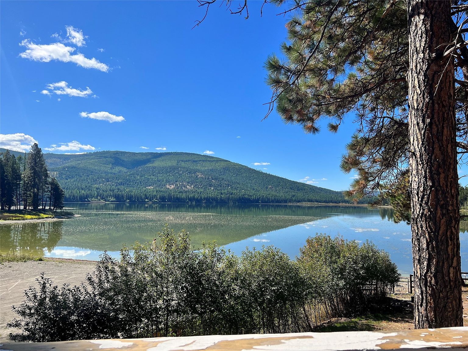 1430/1431 Rogers Lake Rd, Kila, MT 59920 MLS 30016842 Zillow
