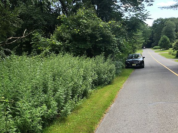 Lot 316 front of car.