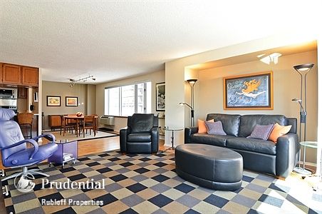 4th image of 801 S Plymouth Ct APT 401