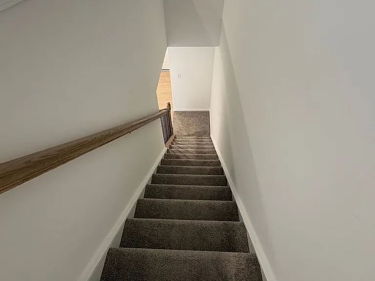 19 Napier Ct — Photo 23