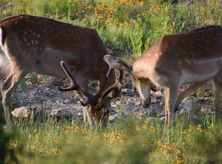 1755 County Road County Rd #1520, Brady, TX 76825