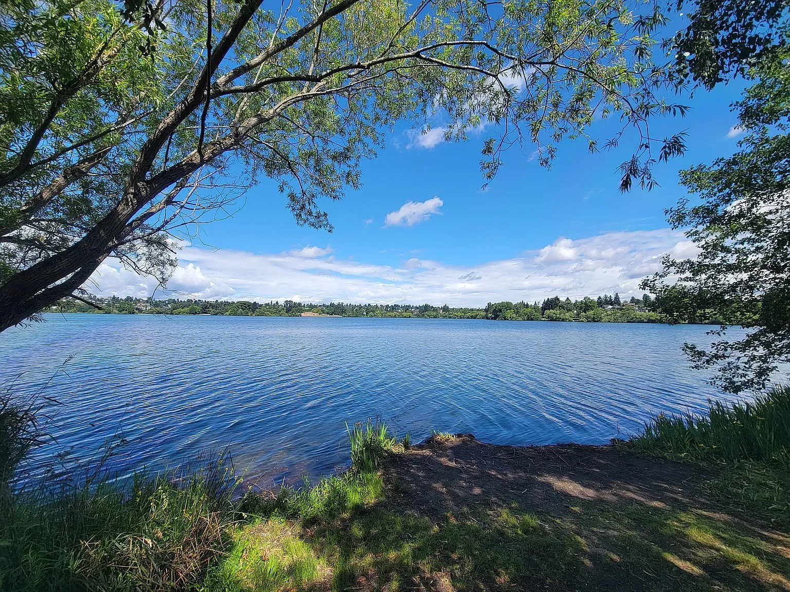Greenlake South Shore — Photo 4
