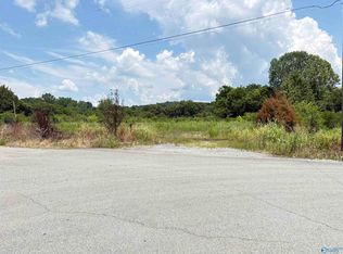 /cox Ave, Stevenson, AL 35772
