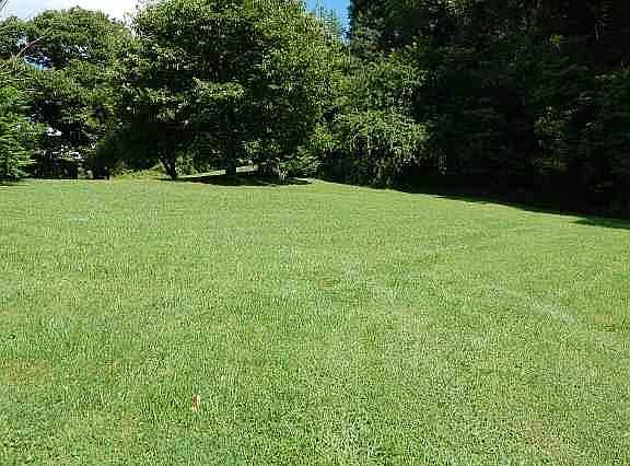 5th image of 187 Tanner Dr