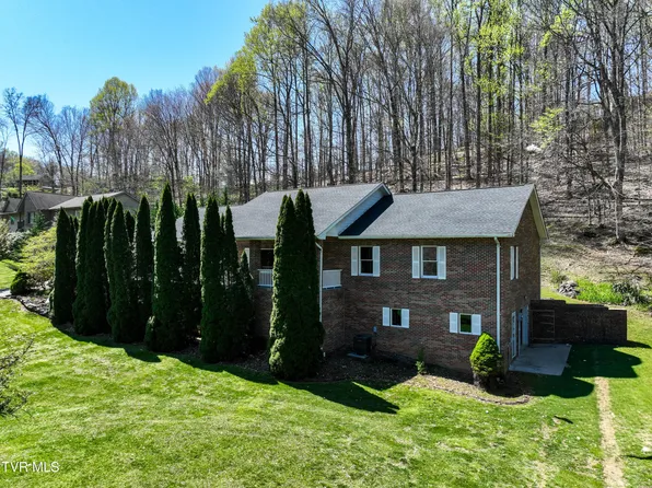 1320 Suntree Rd, Unicoi, TN 37692