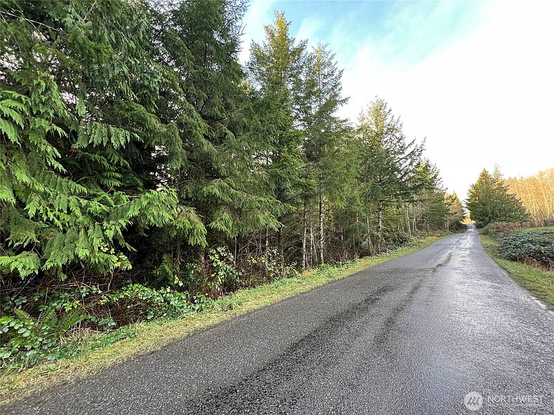 2nd image of 1 xxx Snow Creek Road