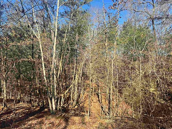 5th image of Polk Rd #147