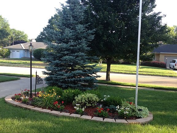 Front landscape to street