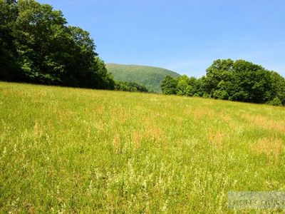Tbd Lyalls Acres Drive, Lansing, NC, 28643