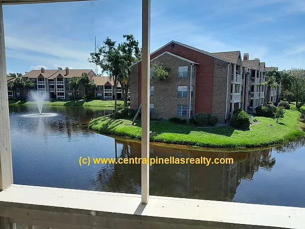 10200 Gandy Blvd N #932 — Photo 8