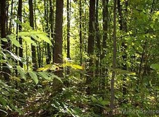 Wheeling Rd, Imlay City, MI 48444