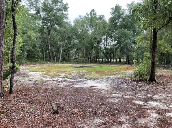 104 Oakwood Village Ln, Hawthorne, FL 32640