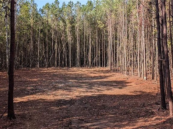 3rd image of 2446 Soap Creek Rd #1