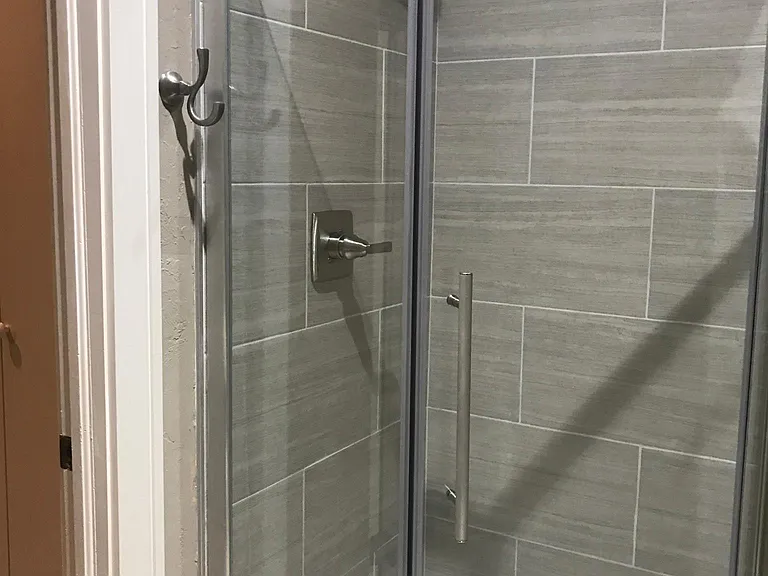 Bath #2 Euro style shower with porcelain tile