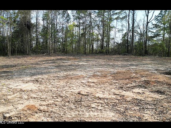 3rd image of 1961 Alton Graham Rd