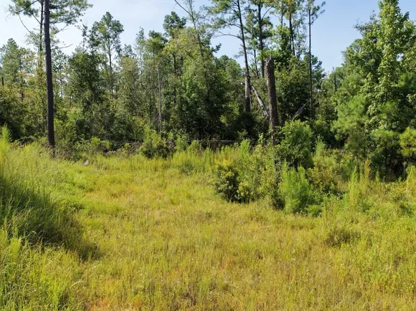 0 SW Tower Rd, Madison, FL 32340