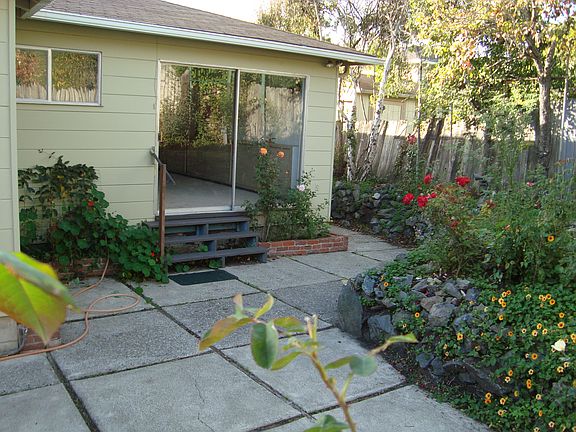 Sunny Back Patio