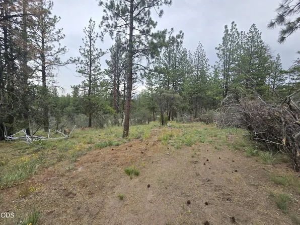 0 Partin Way #5, Beatty, OR 97621